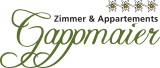 Haus Gappmaier in Filzmoos, SalzburgerLand